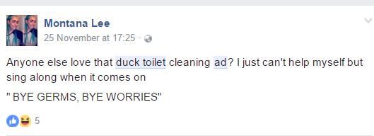 duck cleaner review